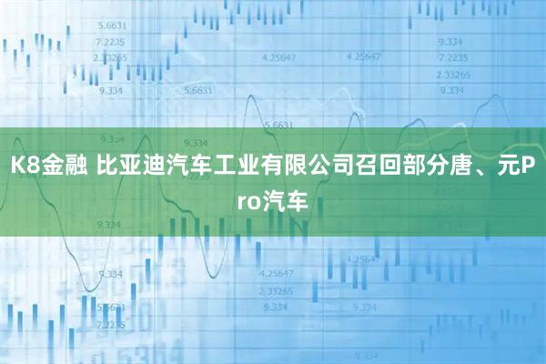 K8金融 比亚迪汽车工业有限公司召回部分唐、元Pro汽车