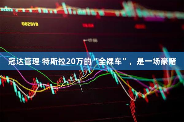 冠达管理 特斯拉20万的“全裸车”，是一场豪赌