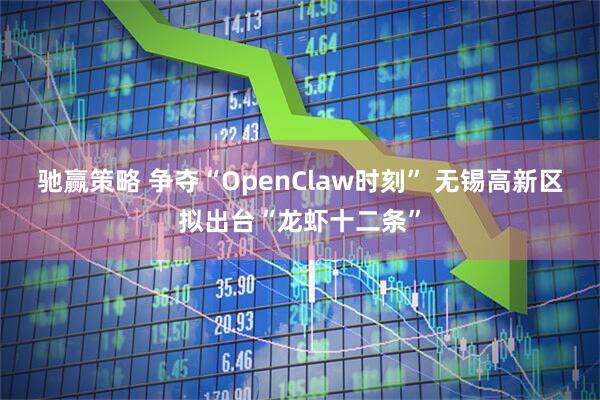 驰赢策略 争夺“OpenClaw时刻” 无锡高新区拟出台“龙虾十二条”
