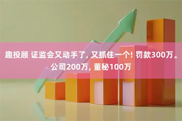 趣投顾 证监会又动手了, 又抓住一个! 罚款300万。公司200万, 董秘100万