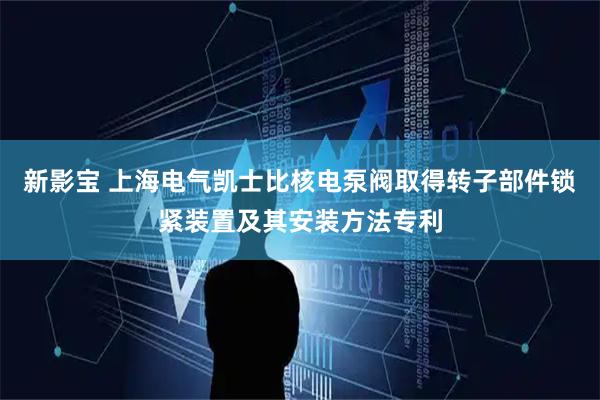 新影宝 上海电气凯士比核电泵阀取得转子部件锁紧装置及其安装方法专利
