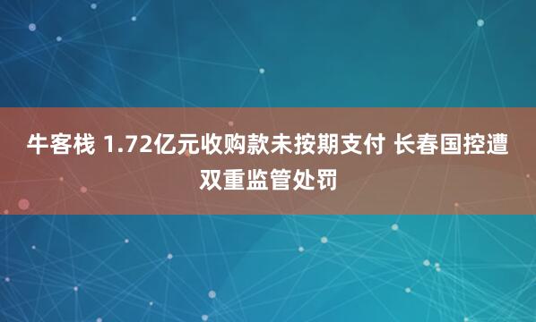 牛客栈 1.72亿元收购款未按期支付 长春国控遭双重监管处罚